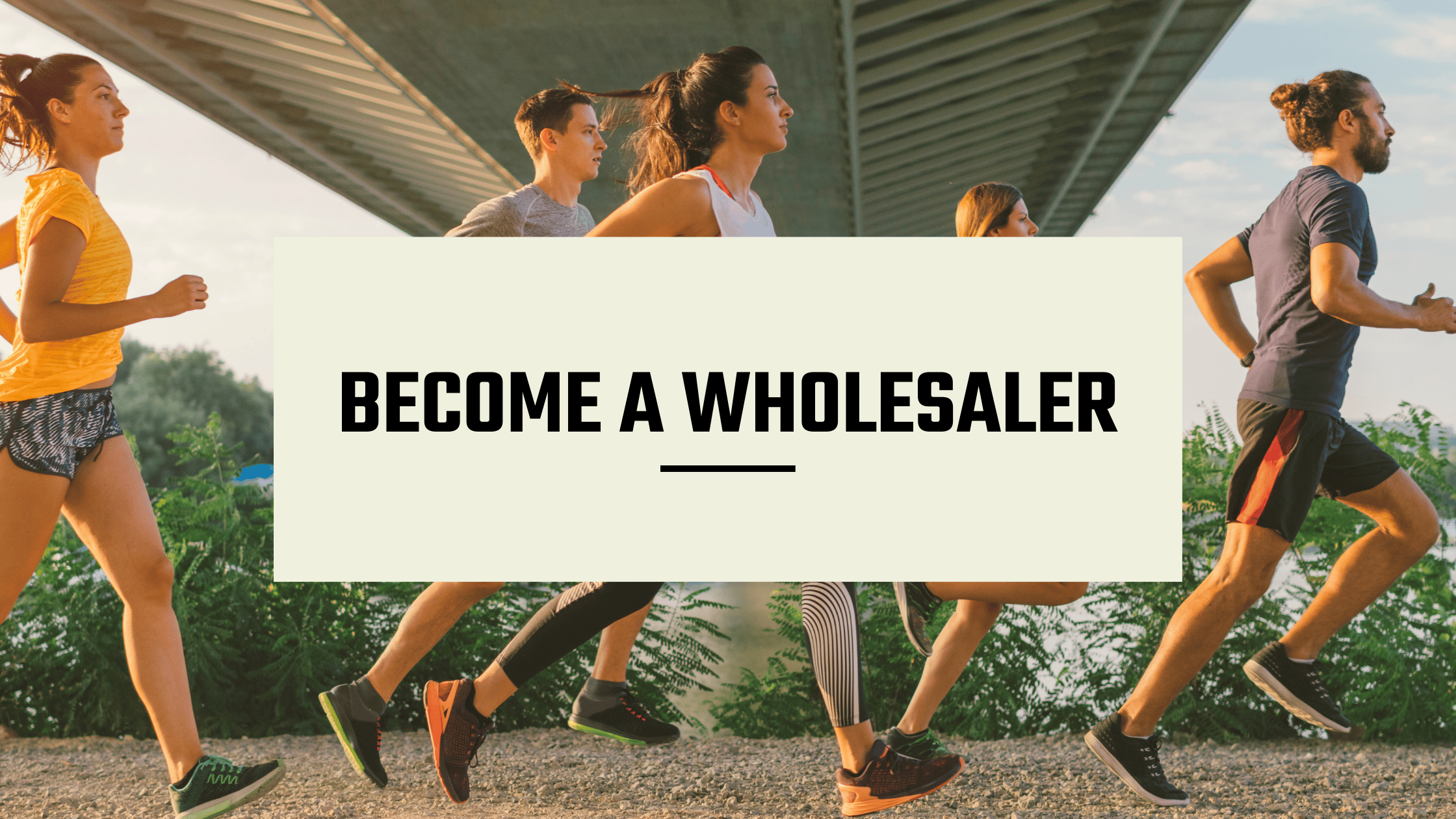 Become a wholesaler